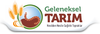 Geleneksel Tarım